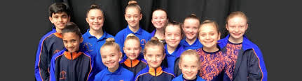 Image result for Spelthorne School Of Gymnastics