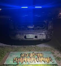 Image result for Weybridge Angling