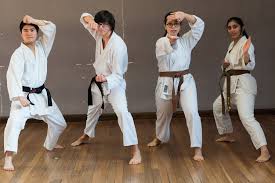 Image result for Imperial Karate Club