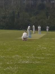 Image result for Bay Dragons CC