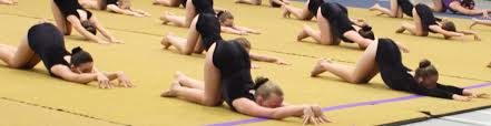 Image result for Kestrel Gymnastic Group