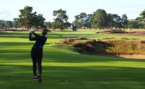 Image result for Walton Heath Golf Club