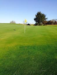 Image result for Beith Golf Club