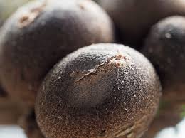 Attēlu rezultāti vaicājumam “Lycogala confusum”