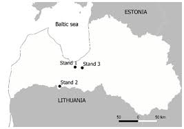 Attēlu rezultāti vaicājumam “Heterobasidion parviporum”