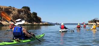 Image result for Martlet Kayak Club