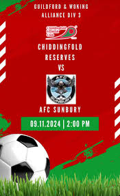 Image result for Chiddingfold Youth Fc