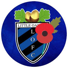 Image result for Ockley Acorns Junior F C