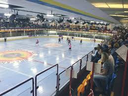 Image result for Bracknell Ice Skating Club