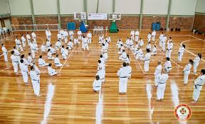 Image result for Durham University Shorinji Kempo Society Club