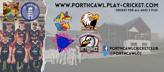 Image result for Ynysygerwn Cricket Club