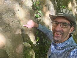 Attēlu rezultāti vaicājumam “Gyroweisia tenuis”