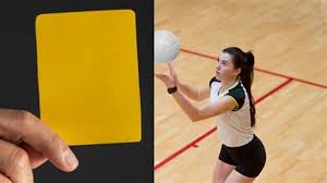 *yellow ard에 대한 이미지 검색결과