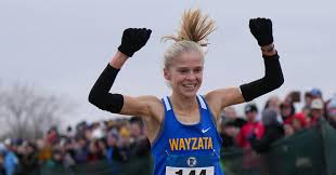 Image result for Abbey Runners