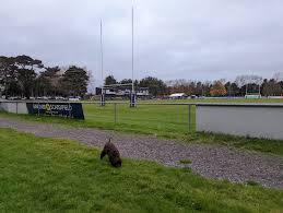 Image result for West Worthing Tennis & Squash Club