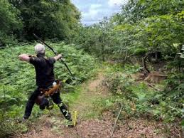 Image result for Cloth Of Gold Field Archery Club