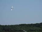 Aircraft and ditched glider. A gliding club is based at Parham airfield - via Daymix