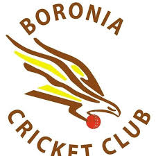 Image result for Crickets Netball Club