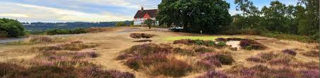 Image result for Reigate Heath Golf Club