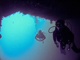 Image result for York University Sub Aqua Club