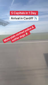 Image result for Cardiff Capitals