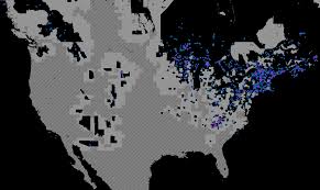 Attēlu rezultāti vaicājumam “Hypnum pallescens sporophyte”