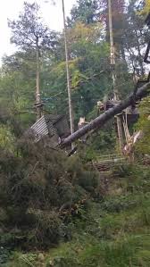 Image result for Go Ape! Grizedale