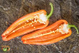 Afbeeldingsresultaat voor hungarian sweet apple sweet pepper