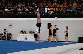 Image result for Tessaro Gymnastics Club