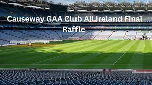 Image result for Causeway Hurling Club