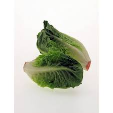 Image result for Römischer Salat
