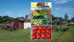 Image result for Carman Stables