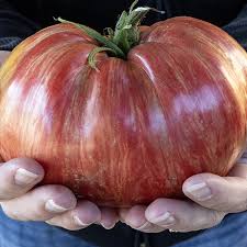 Afbeeldingsresultaat voor rose quartz tomato