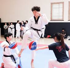 Image result for Invertay Taekwondo Club