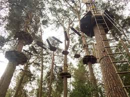 Image result for The Go Ape Experience (Delamere Forest)