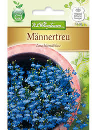 Image result for Männertreu