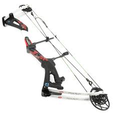 Image result for ArcheryDuns