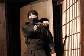 Image result for Hertfordshire Iga Ryu Ninjutsu