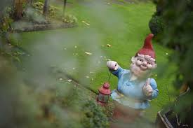 Image result for Gartenzwerg