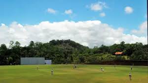 Image result for Thorpe Green Cricket Club