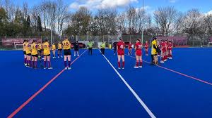 Image result for Winchester Hockey Club