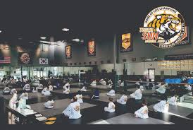 Image result for Championship Martial Arts Frisco