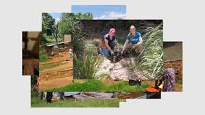 Image result for foto criação de deus