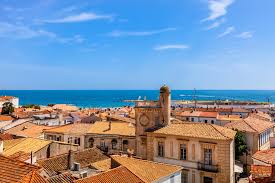 Image result for parque natural de camargue