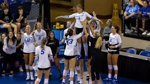 Image result for Bolton Volleyball Club