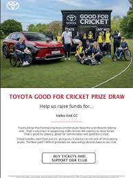 Image result for Valley End Cricket Club