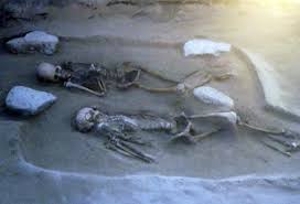 Image result for 土井ヶ浜遺跡　視線　故郷