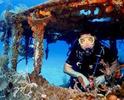 Image result for Dive Crew Scuba Diving