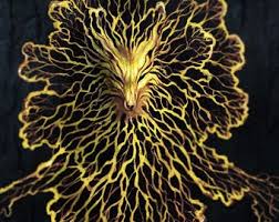 Attēlu rezultāti vaicājumam “Physarum contextum spores”