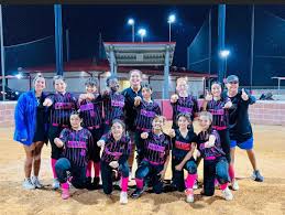 Image result for Lions Softball Club